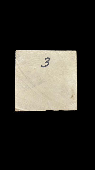 Sea Scorpion Eurypterid (medium)