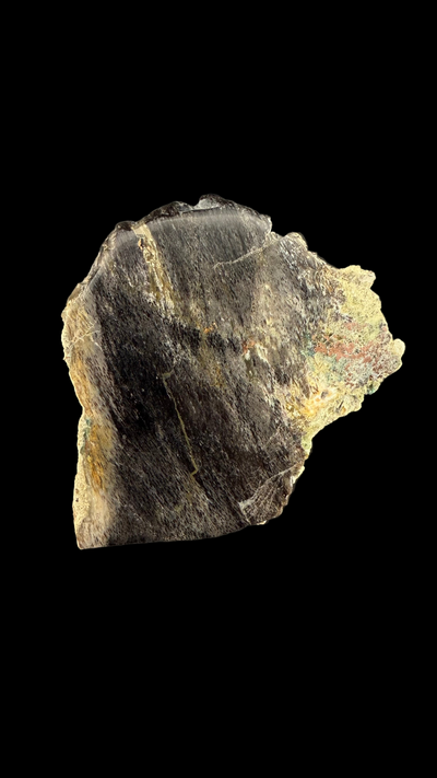 Petrified Wood with Native Copper