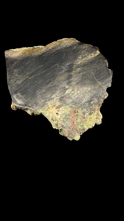 Petrified Wood with Native Copper
