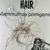 Mammoth hair