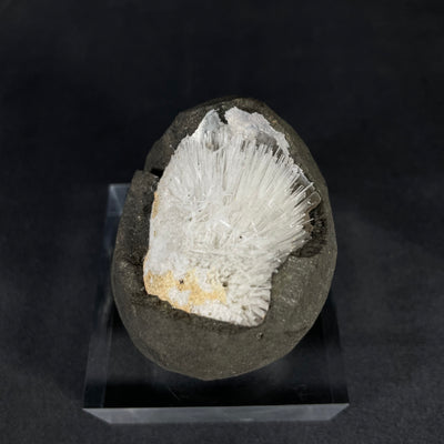 Scolecite