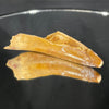 Rooted spinosaurus tooth