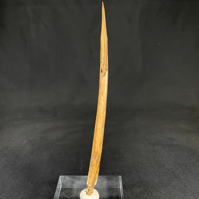 Inuit walrus tusk ivory spear point