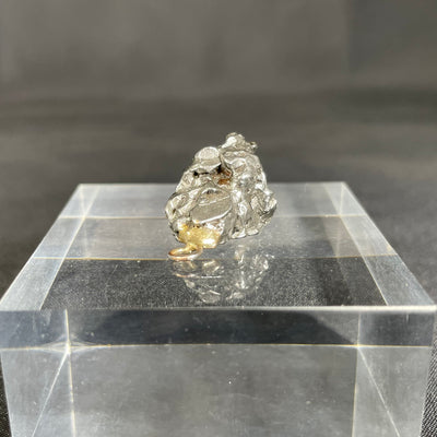 Meteorite pendant (Campo del Cielo)