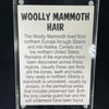 Mammoth hair